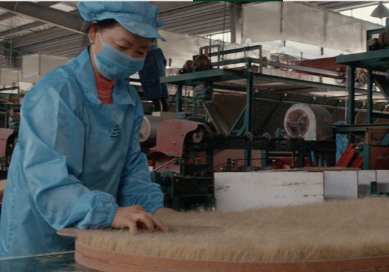 再獲殊榮！金湘豬鬃入選全省首批跨境人民幣結算優(yōu)質(zhì)企業(yè)