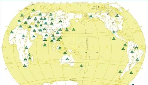 金湘豬鬃榮獲省級企業(yè)技術中心